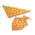 Pet Bandana Set - dog raincoat and dog fleece vest product photo