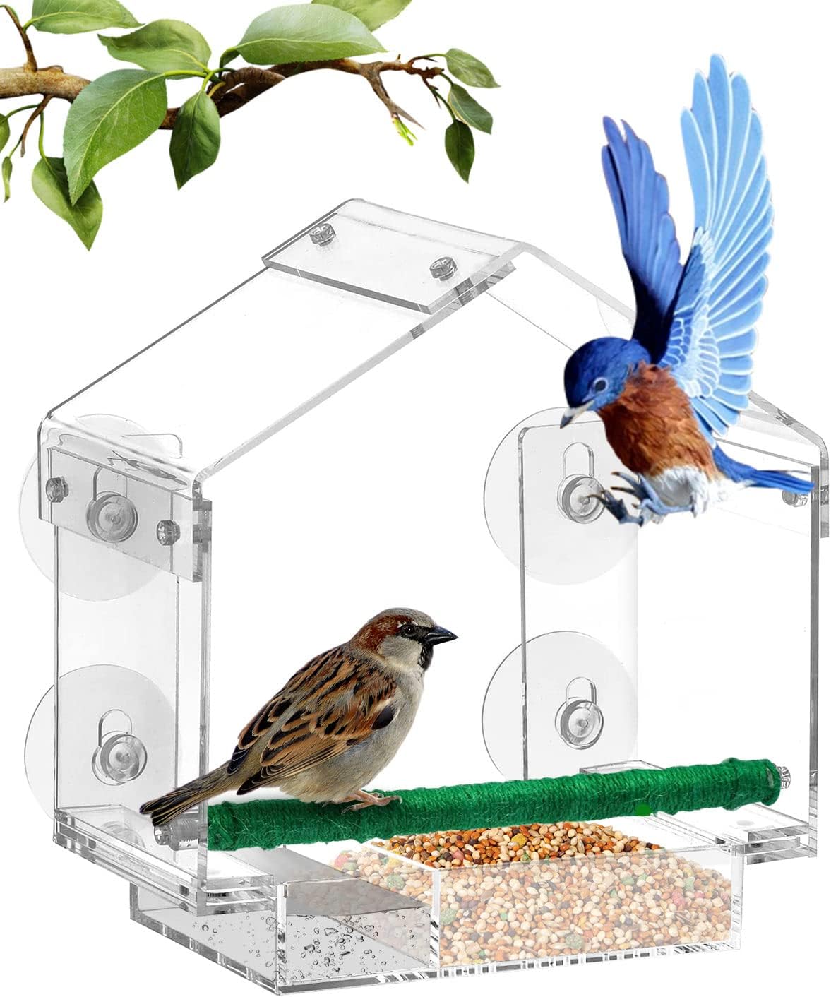 Window Bird Feeder - cat scratcher and cat grass kit product photo