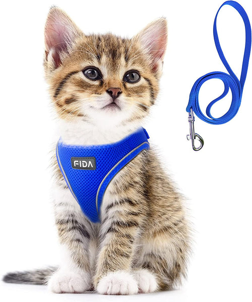 Adjustable Cat Harness - cat harness and adjustable cat harness product photo
