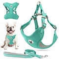 Reflective No-Pull Harness - dog travel bowl and portable pet water bottle product photo