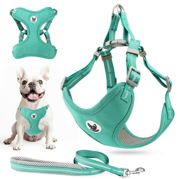 Reflective No-Pull Harness - dog travel bowl and portable pet water bottle product photo