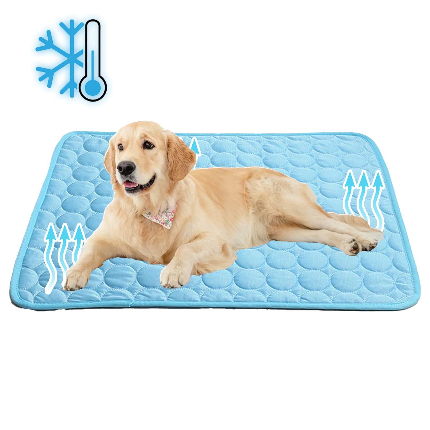 Cooling Pet Mat - pet mat and dog blanket product photo