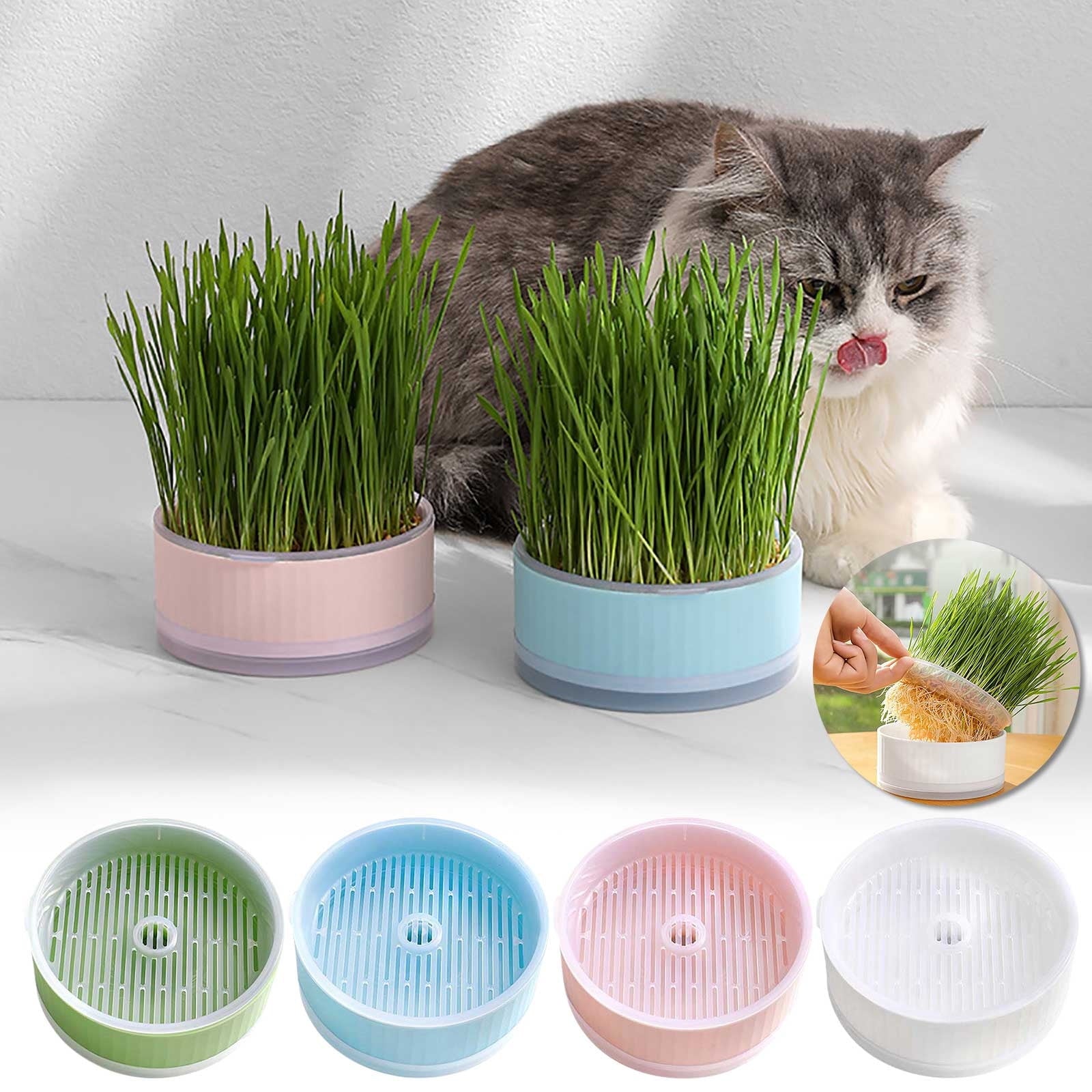 Cat Grass Planter Kit - cat scratcher and cat grass kit product photo