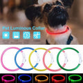 LED Dog Collar Light - reflective dog collar and breakaway cat collar product photo