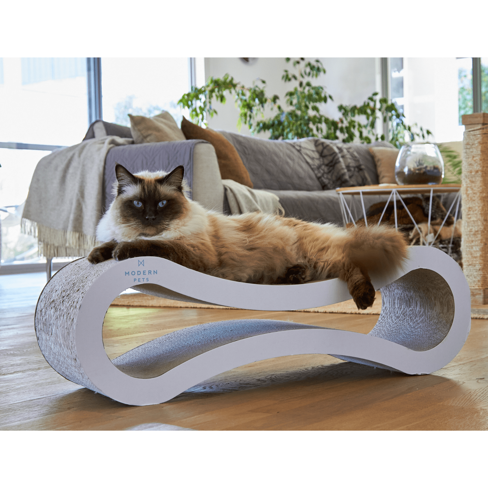 Cat Scratcher Lounge - cat scratcher and cat grass kit product photo